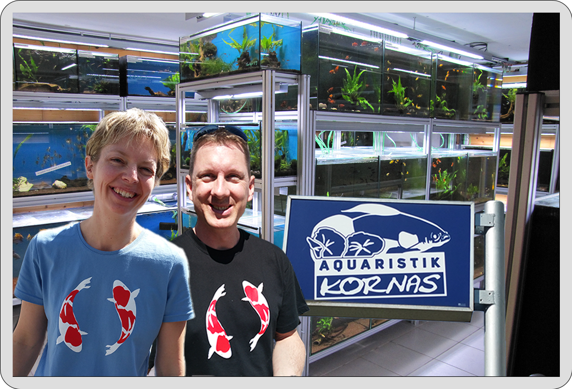 Über uns – Illustration